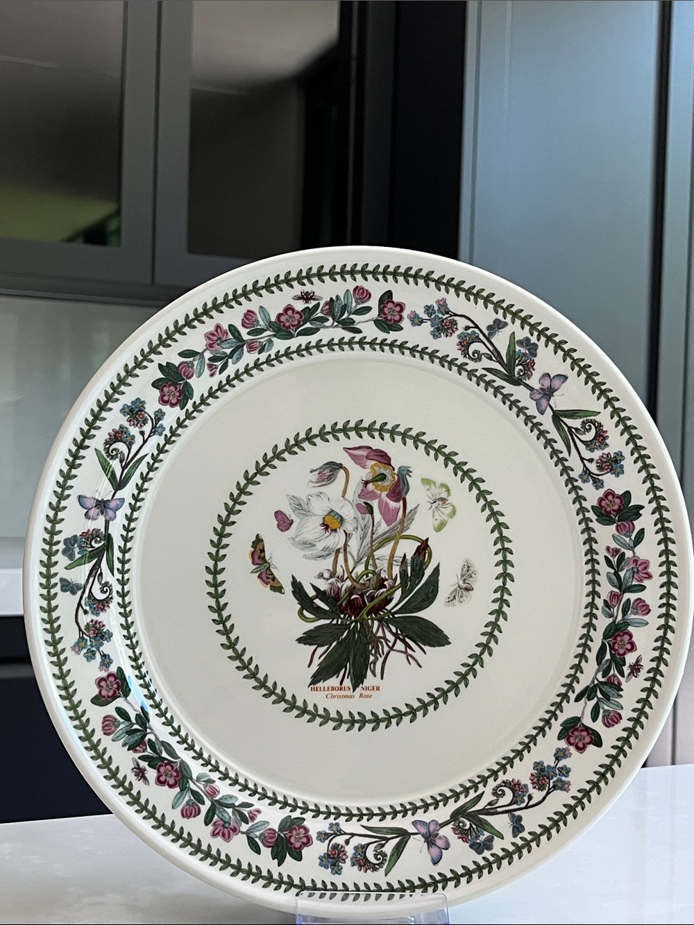 Portmeirion Dinner Plate. Botanic Variations 10.5" Christmas Rose. Like New. - Picture 3 of 8